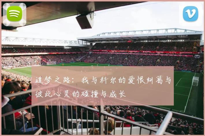追梦之路：我与科尔的爱恨纠葛与彼此心灵的碰撞与成长